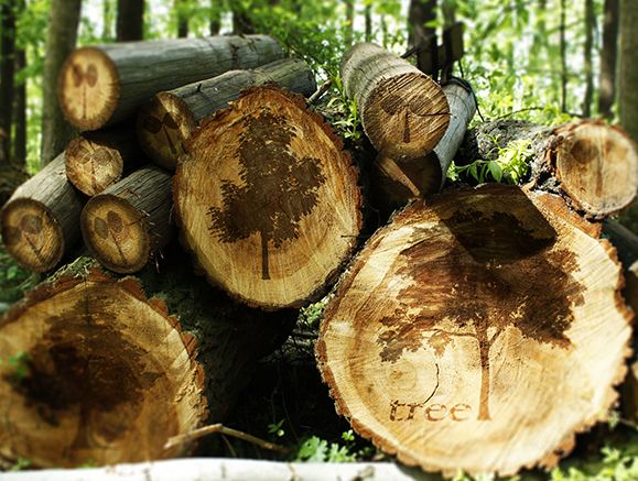 什么叫刨花板？